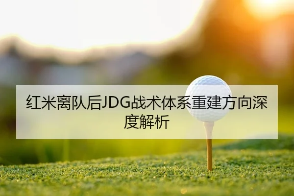 红米离队后JDG战术体系重建方向深度解析